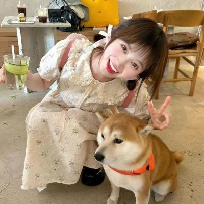 觅法奇程海报